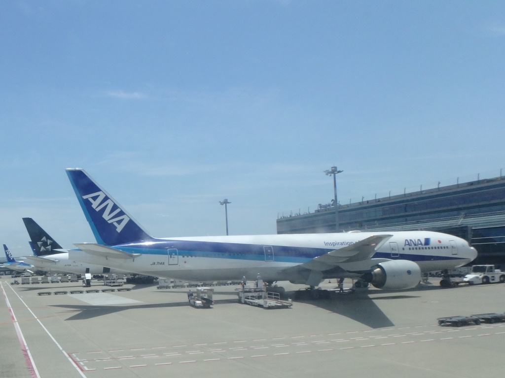 Anaの特割で 400ppの搭乗ポイントが貰えました 勉強不足でした 陸空マイラー入門中 窓際な時間の有活日記
