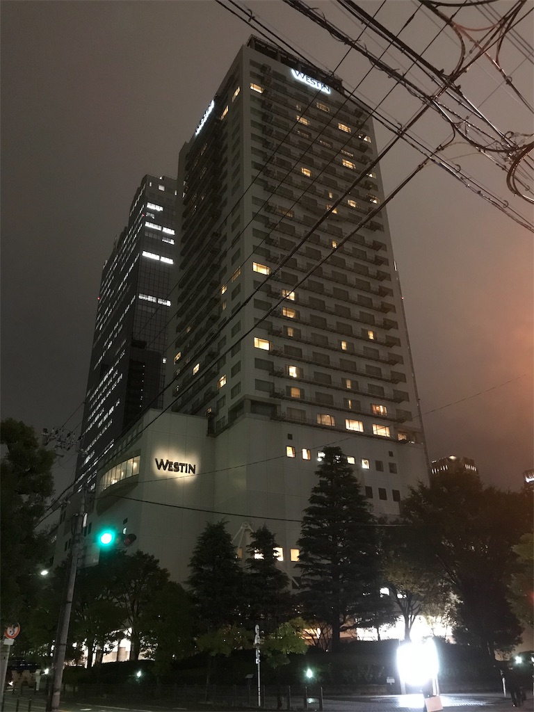 f:id:mileage-runner:20181122074605j:image