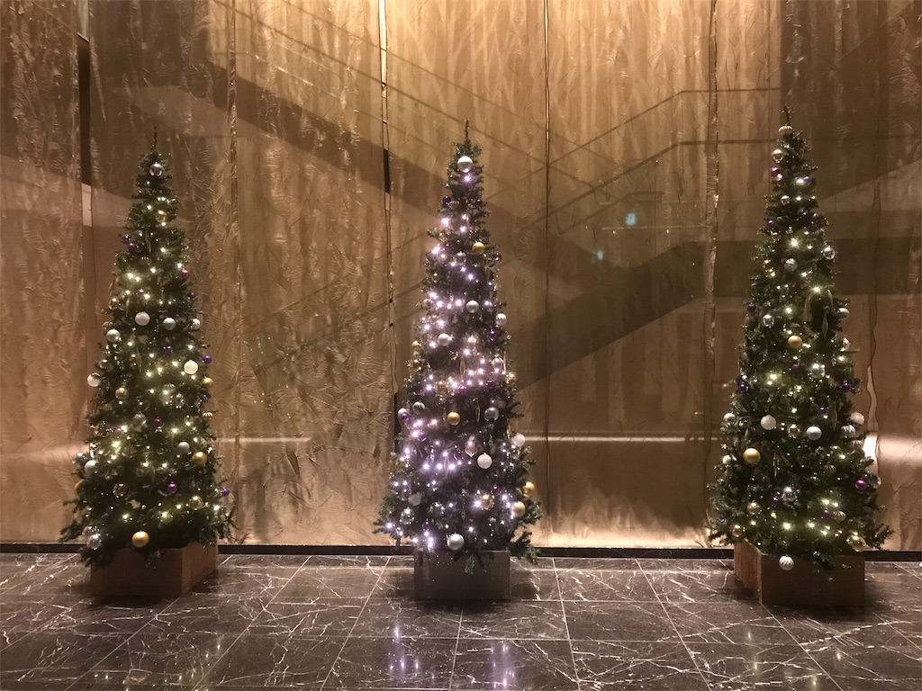 f:id:mileage-runner:20181207012516j:image f:id:mileage-runner:20181207012516j:image