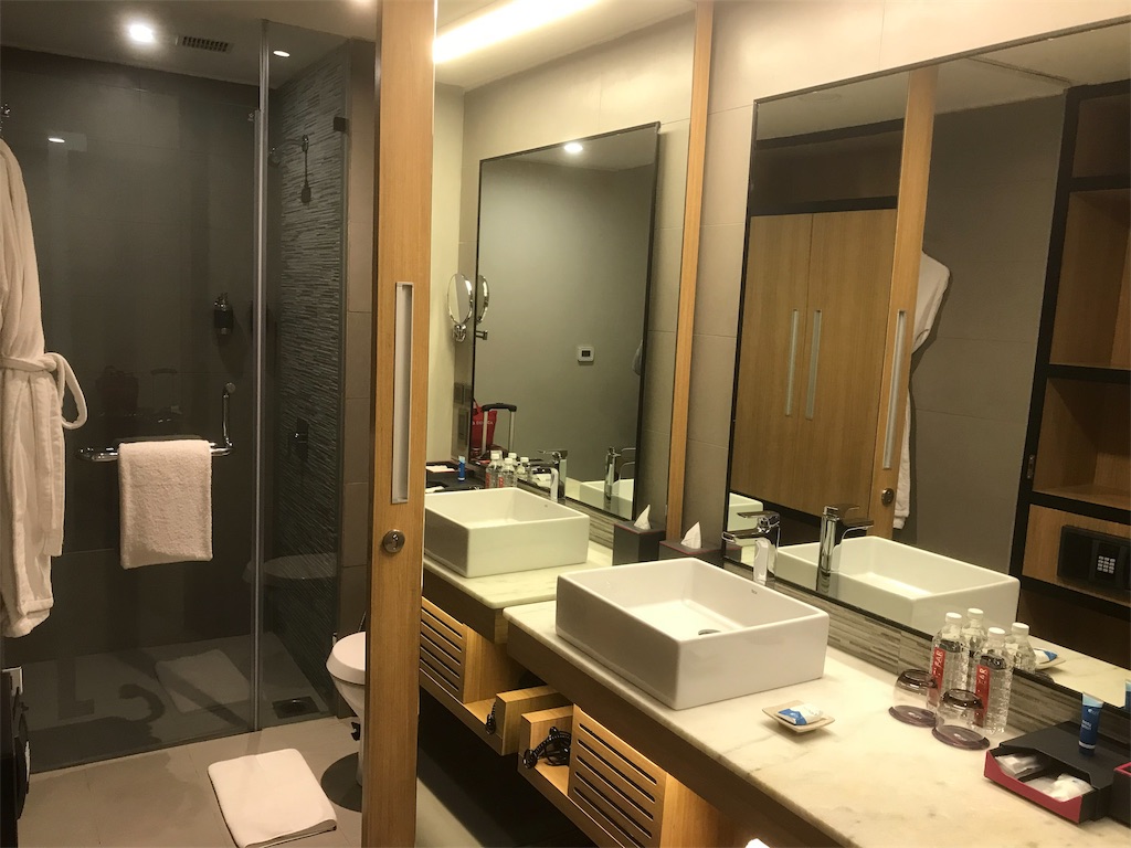 f:id:mileage-runner:20181211182552j:image