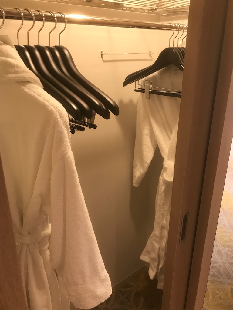 f:id:mileage-runner:20190105190050j:image f:id:mileage-runner:20190105190050j:image