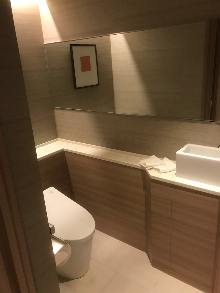 f:id:mileage-runner:20190105190109j:image f:id:mileage-runner:20190105190109j:image