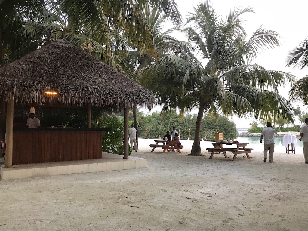 f:id:mileage-runner:20190111190932j:image
