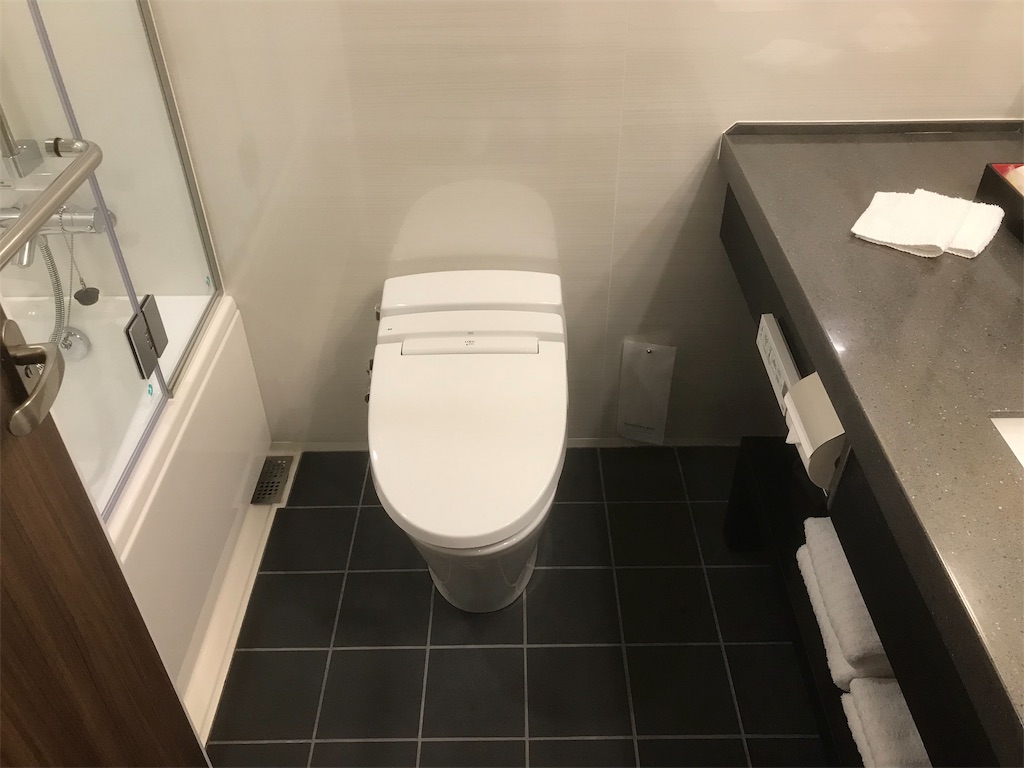 f:id:mileage-runner:20190125120958j:image