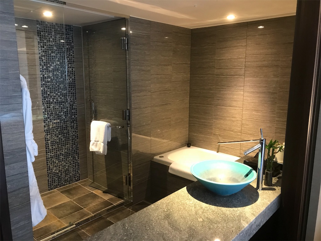 f:id:mileage-runner:20190127125811j:image f:id:mileage-runner:20190127125811j:image