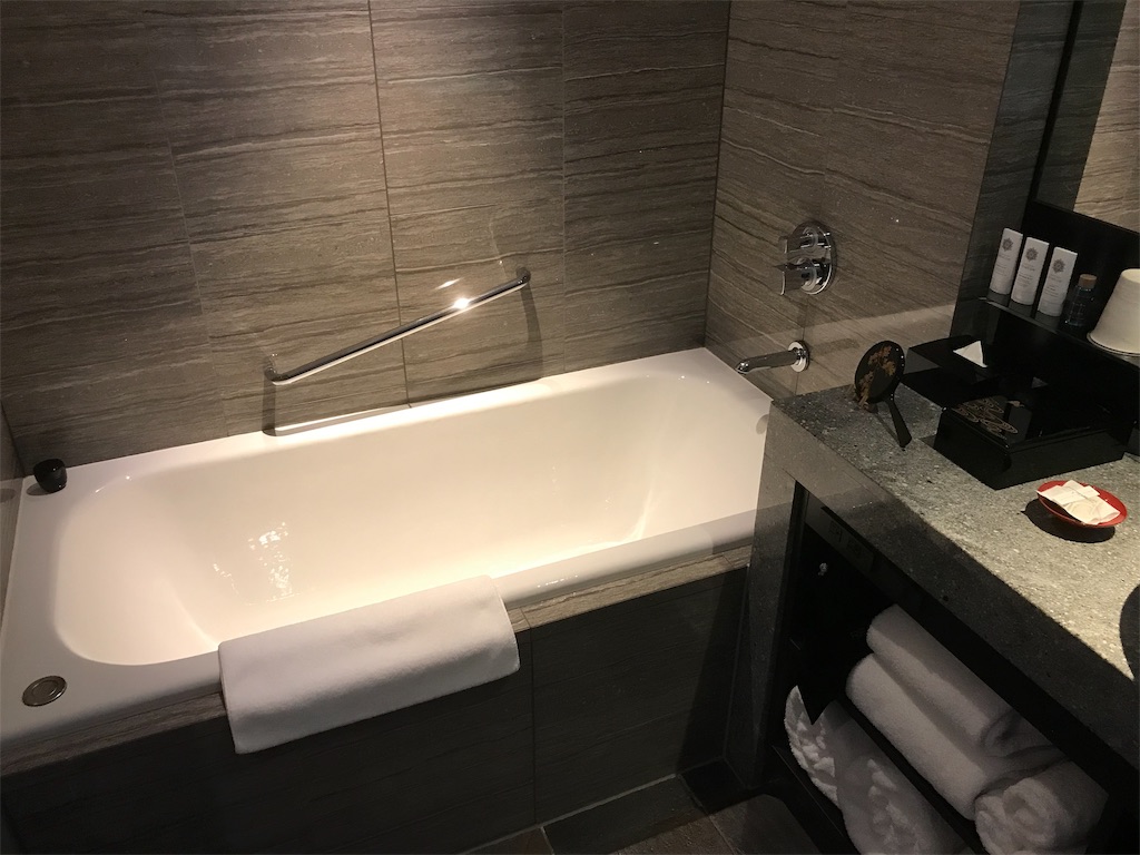 f:id:mileage-runner:20190127125847j:image f:id:mileage-runner:20190127125847j:image