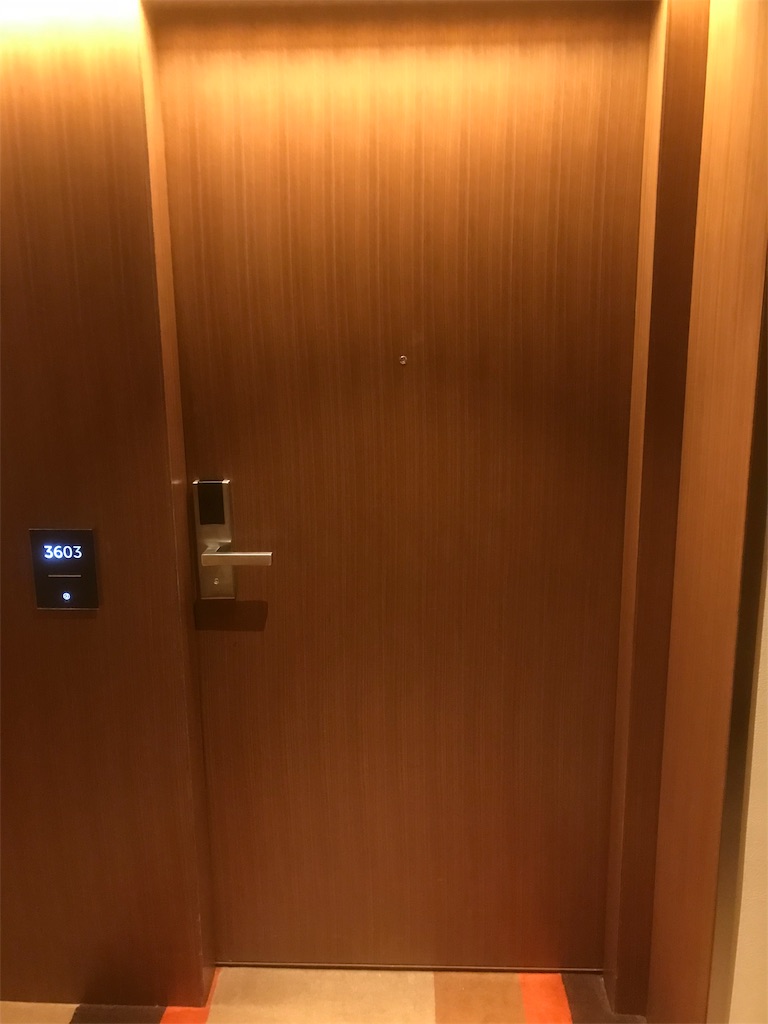 f:id:mileage-runner:20190211171142j:image f:id:mileage-runner:20190211171142j:image