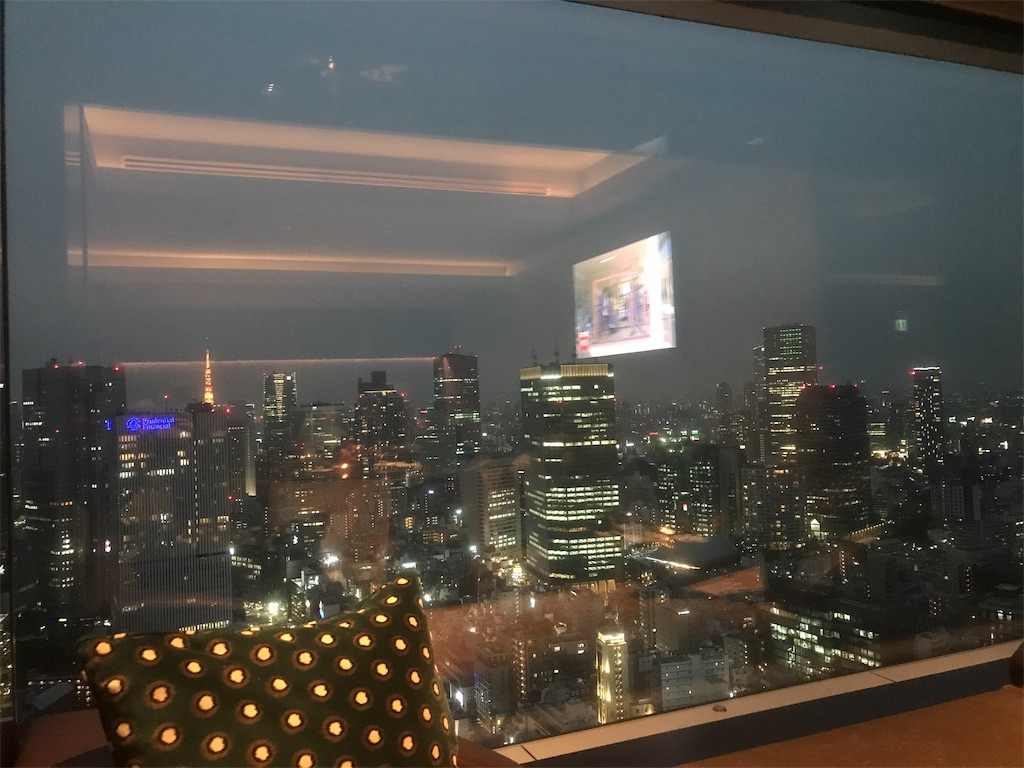 f:id:mileage-runner:20190214085206j:image