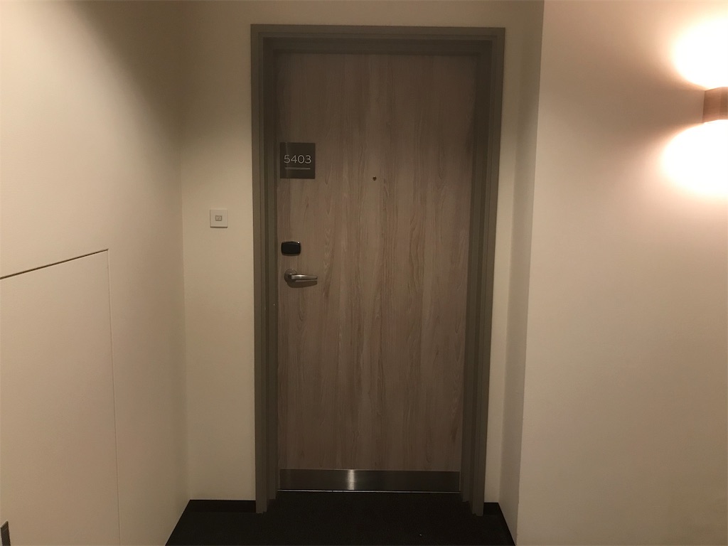 f:id:mileage-runner:20190514072346j:image