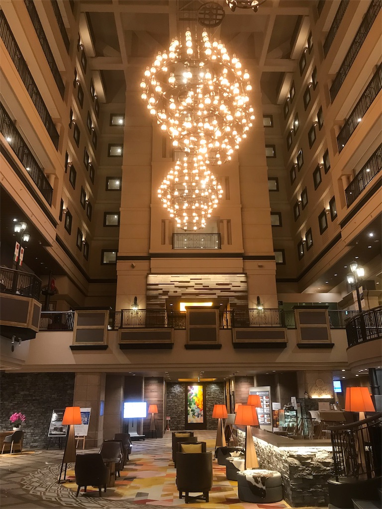 f:id:mileage-runner:20190514072421j:image