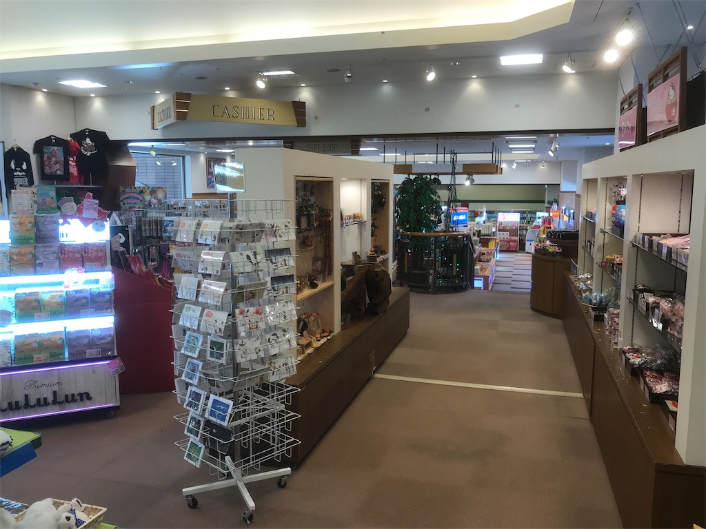 f:id:mileage-runner:20190521232128j:image