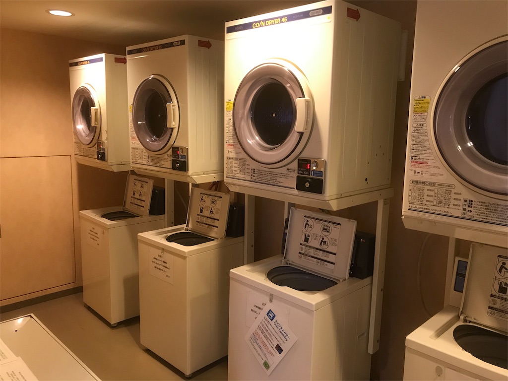 f:id:mileage-runner:20190521232137j:image