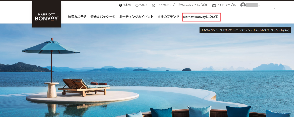 f:id:mileage-runner:20190614230255p:plain