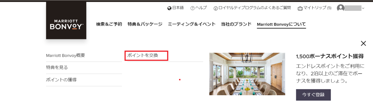 f:id:mileage-runner:20190614230606p:plain
