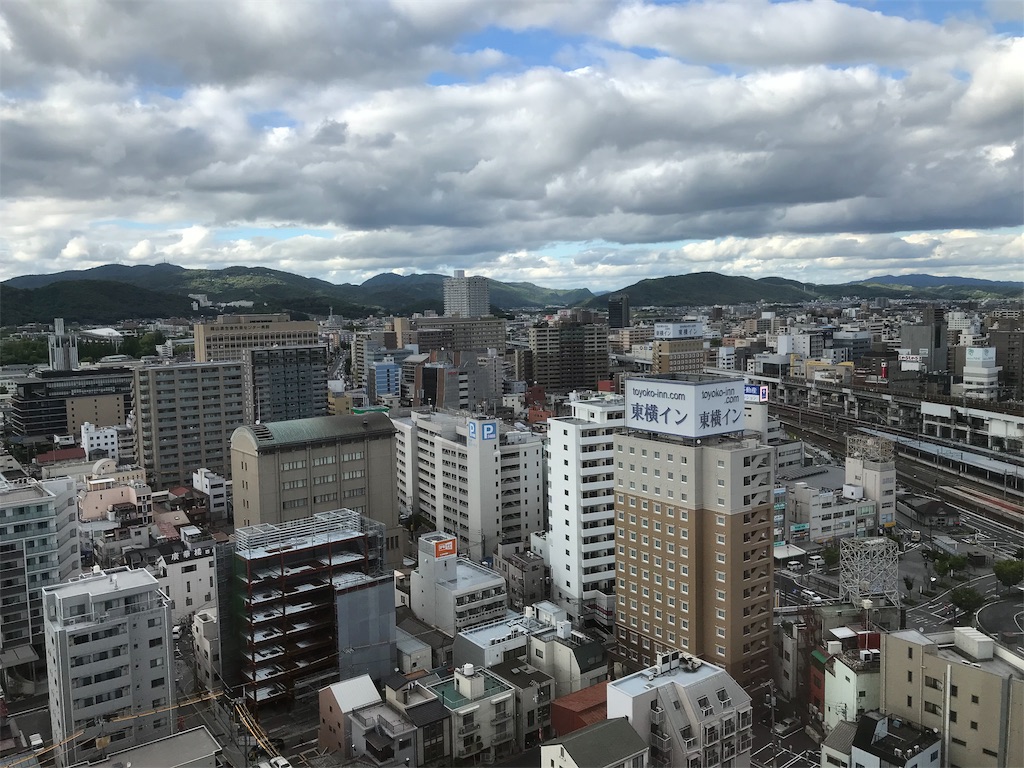f:id:mileage-runner:20190622175808j:image f:id:mileage-runner:20190622175808j:image