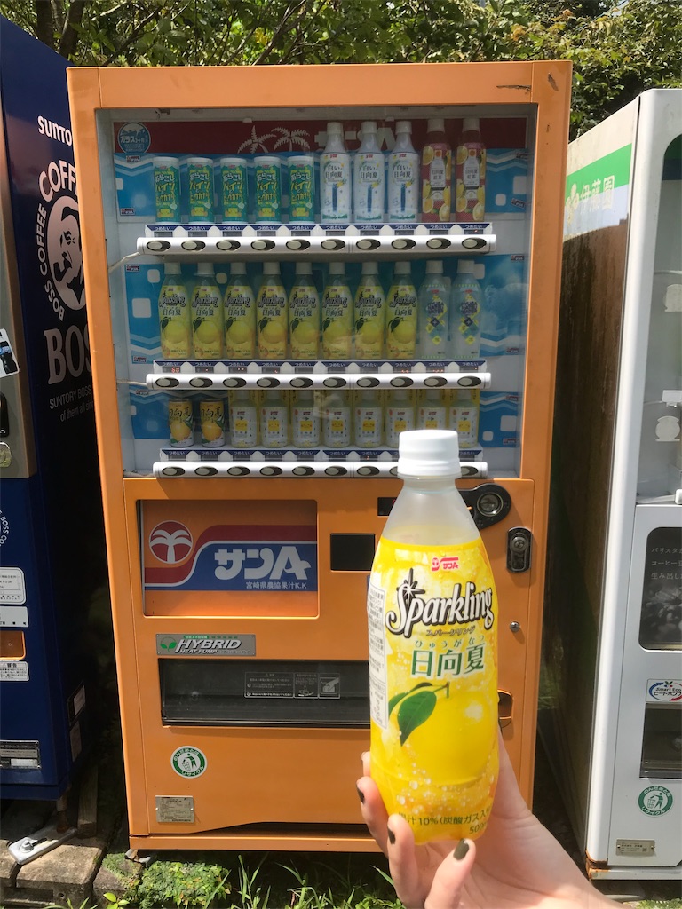 f:id:mileage-runner:20190918201814j:image