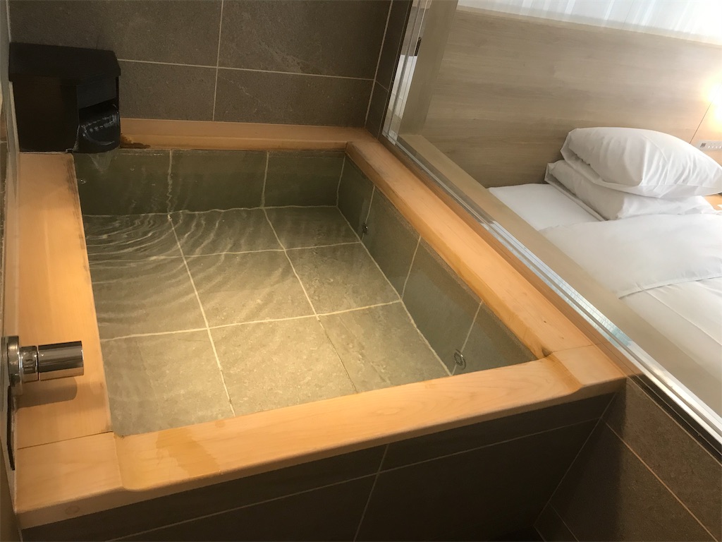 f:id:mileage-runner:20191006211821j:image