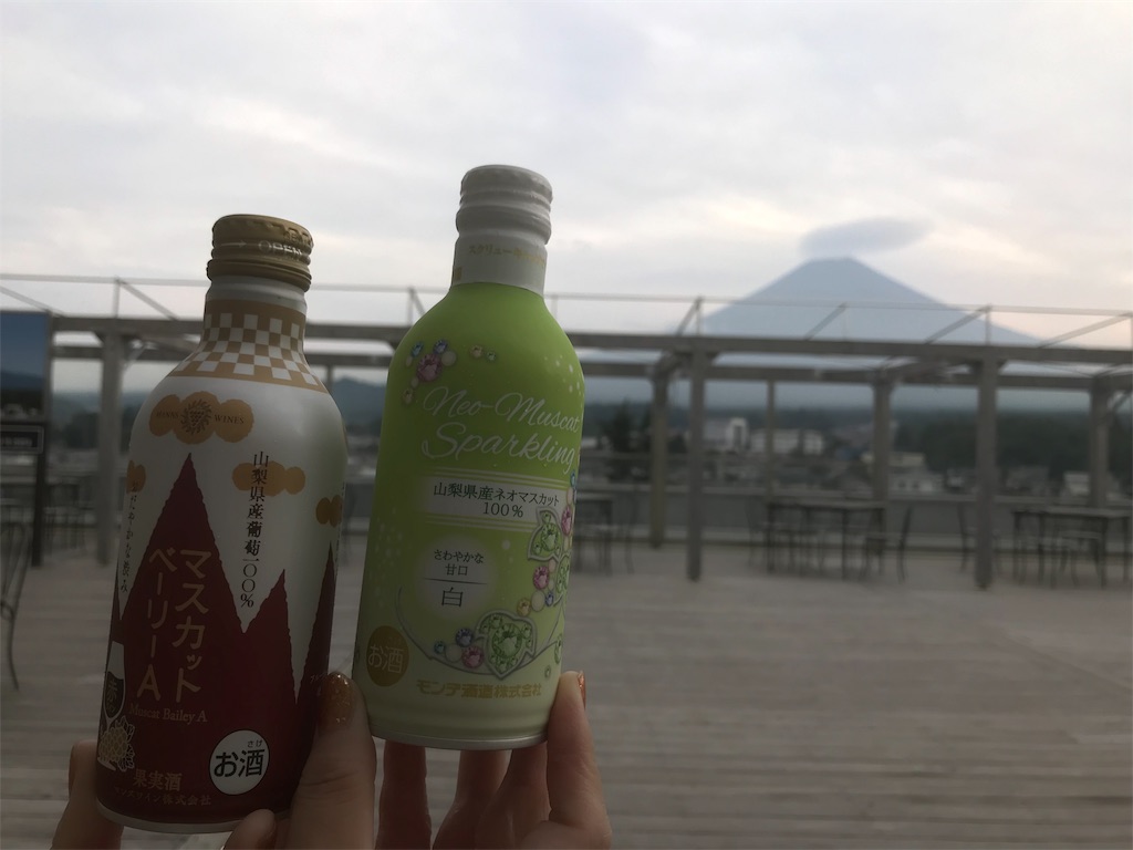 f:id:mileage-runner:20191019175215j:image f:id:mileage-runner:20191019175215j:image