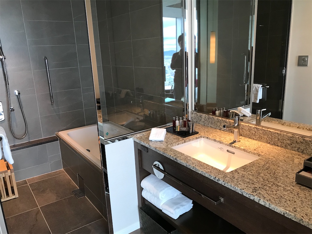 f:id:mileage-runner:20191228133038j:image f:id:mileage-runner:20191228133038j:image