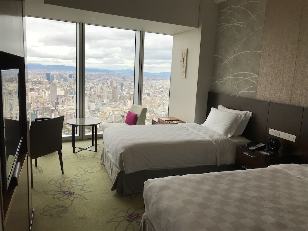 f:id:mileage-runner:20191228133053j:image f:id:mileage-runner:20191228133053j:image