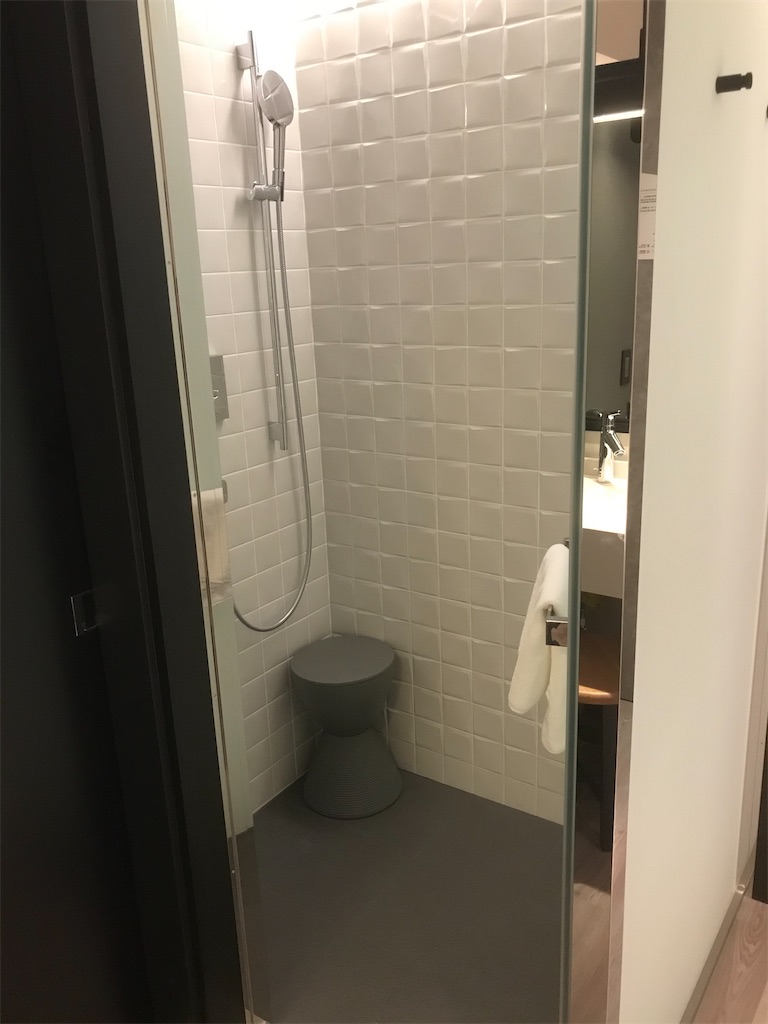 f:id:mileage-runner:20201029134724j:image