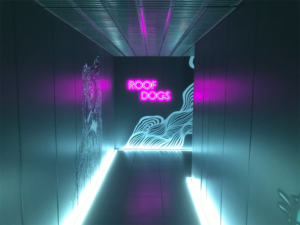 f:id:mileage-runner:20201029134731j:image