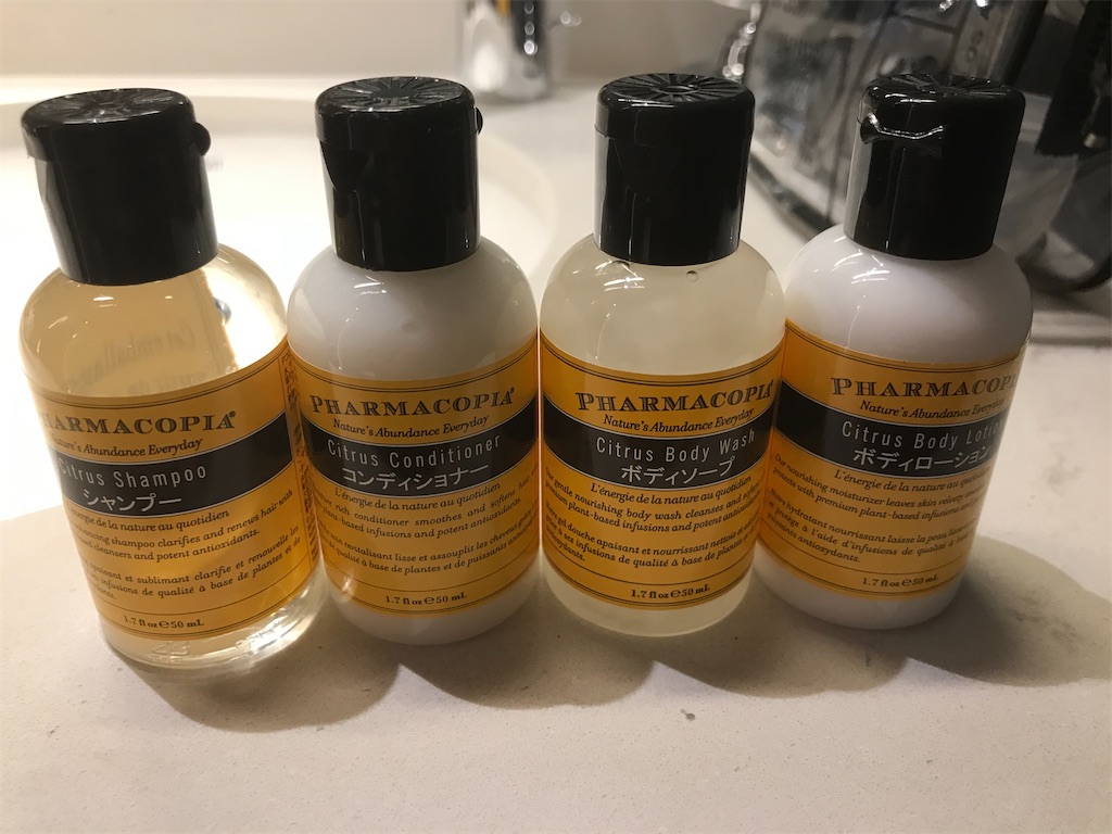 f:id:mileage-runner:20201029134909j:image