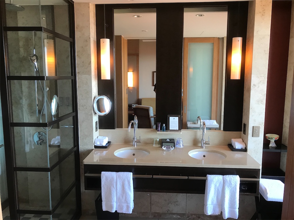 f:id:mileage-runner:20201118155145j:image