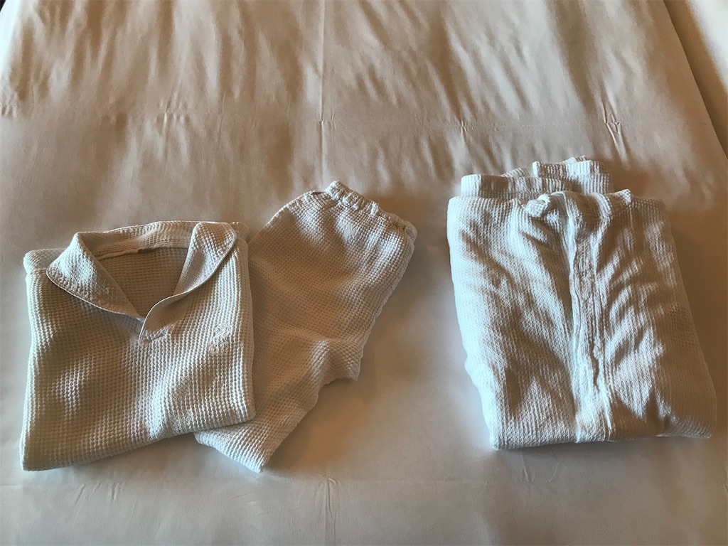 f:id:mileage-runner:20201118155225j:image