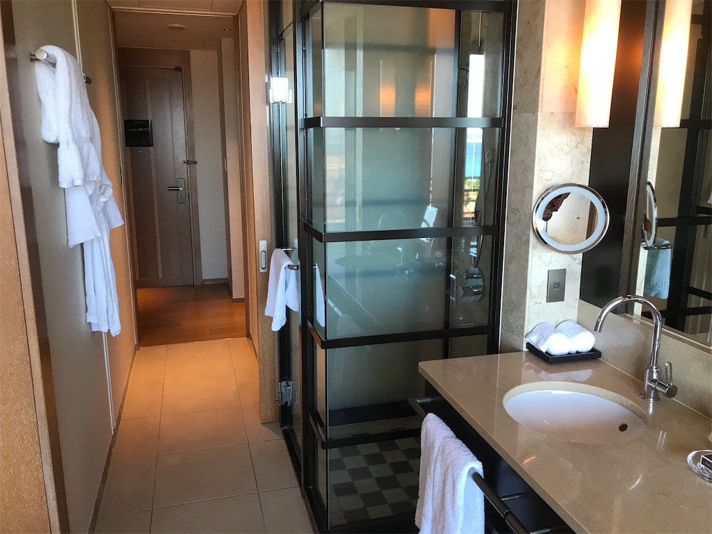 f:id:mileage-runner:20201118155404j:image