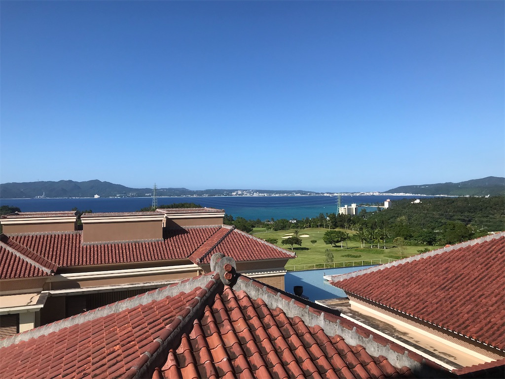 f:id:mileage-runner:20201118155442j:image