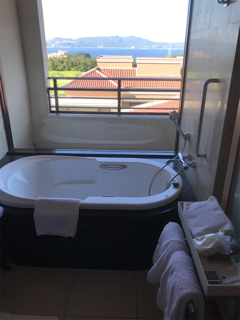 f:id:mileage-runner:20201118155526j:image