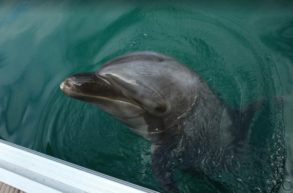 f:id:mileagelove:20161010201730j:plain