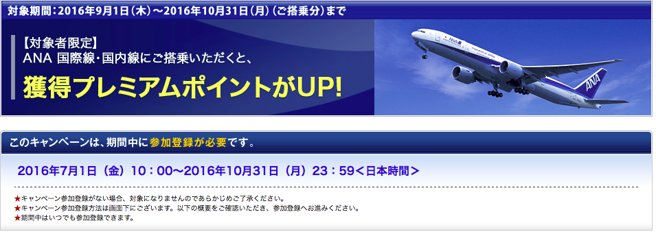 f:id:mileagelove:20161116230909p:plain