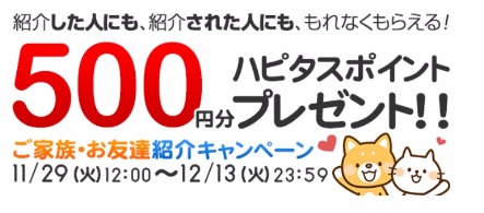 f:id:mileagelove:20161129150756j:plain f:id:mileagelove:20161129150756j:plain