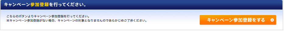 ANAプレミアムポイントキャンペーン in2018夏参加登録