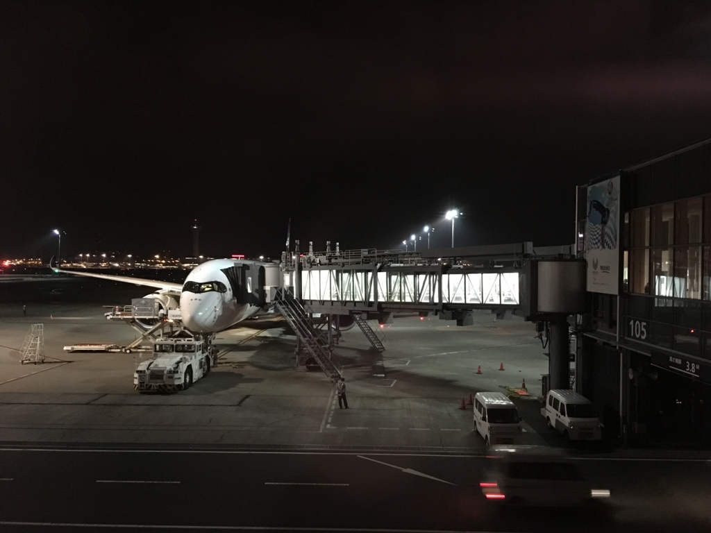 f:id:mileagerun:20180805064552j:plain f:id:mileagerun:20180805064552j:plain
