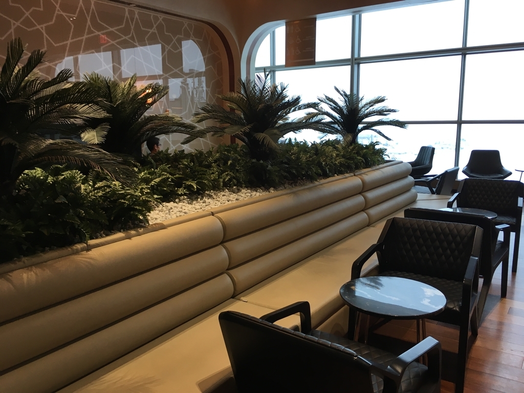 f:id:mileagerun:20190224010443j:plain f:id:mileagerun:20190224010443j:plain