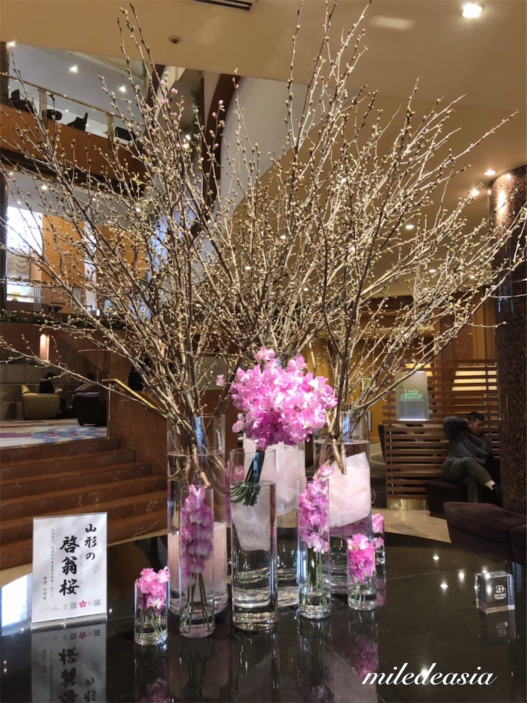 f:id:miledeasia:20190131104207j:image f:id:miledeasia:20190131104207j:image