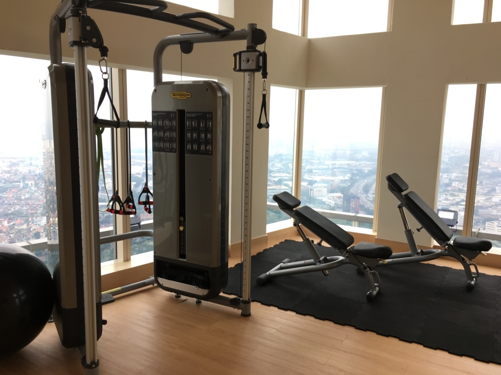 f:id:miledemairu:20180412215649j:plain