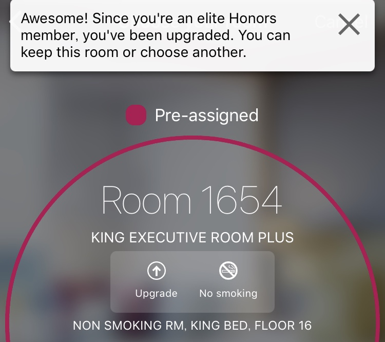 f:id:miledemairu:20180622200148j:plain