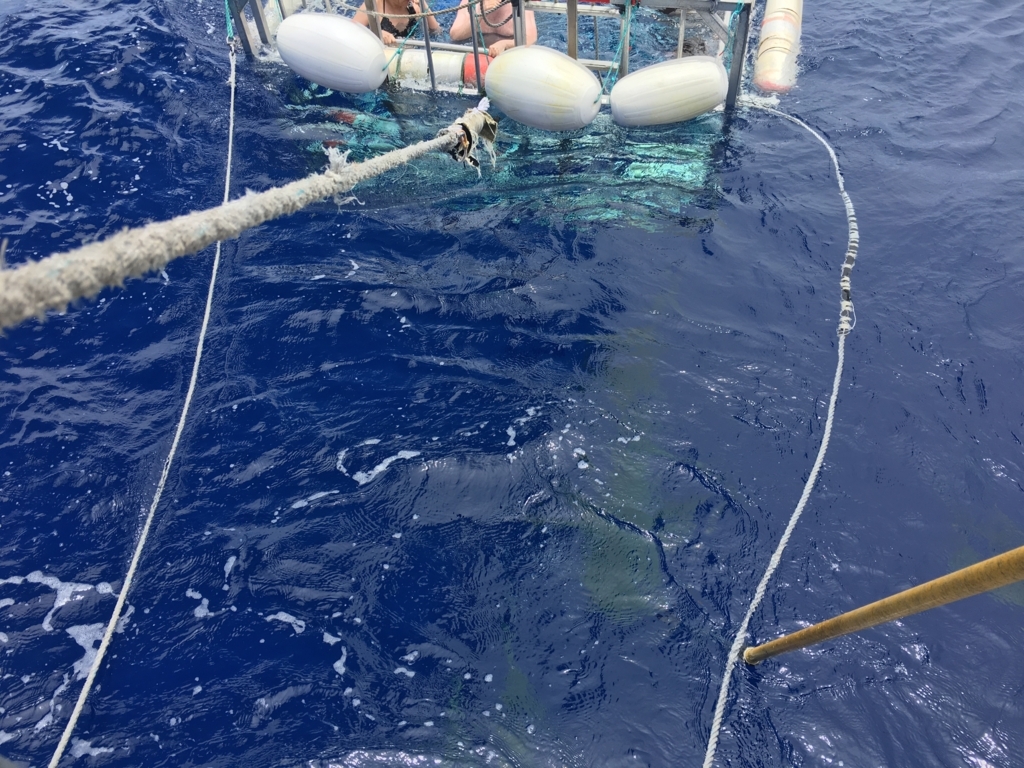 f:id:miledemairu:20180815171213j:plain