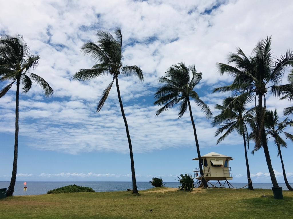 f:id:miledemairu:20180816200025j:plain