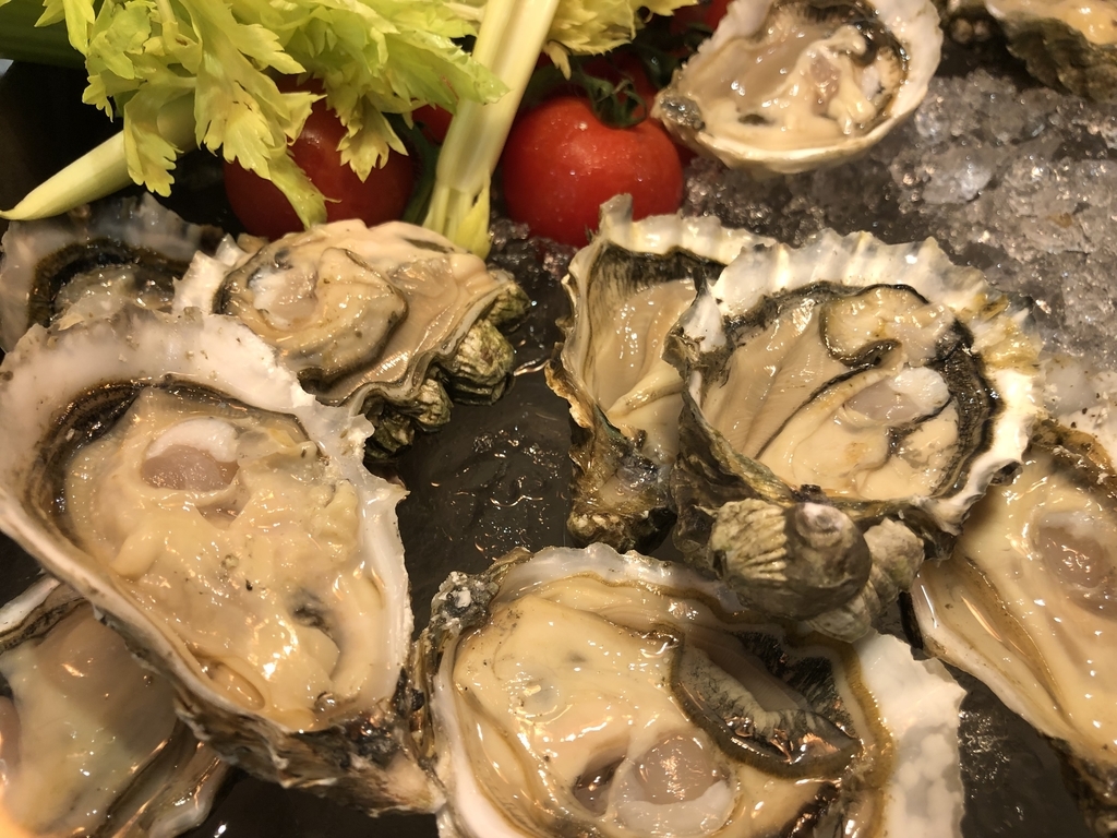 f:id:miledemairu:20190101211153j:plain