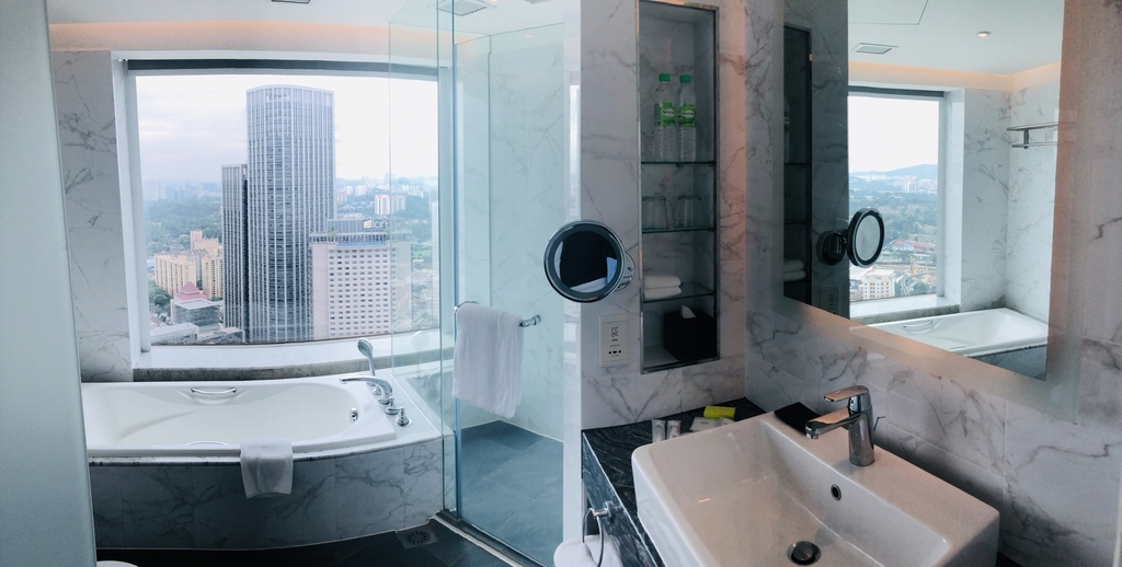 f:id:miledemairu:20190101212838j:plain