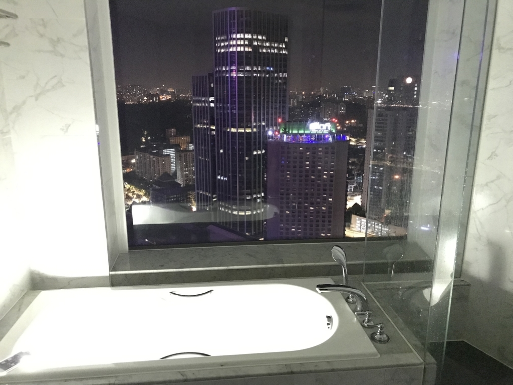 f:id:miledemairu:20190101215728j:plain