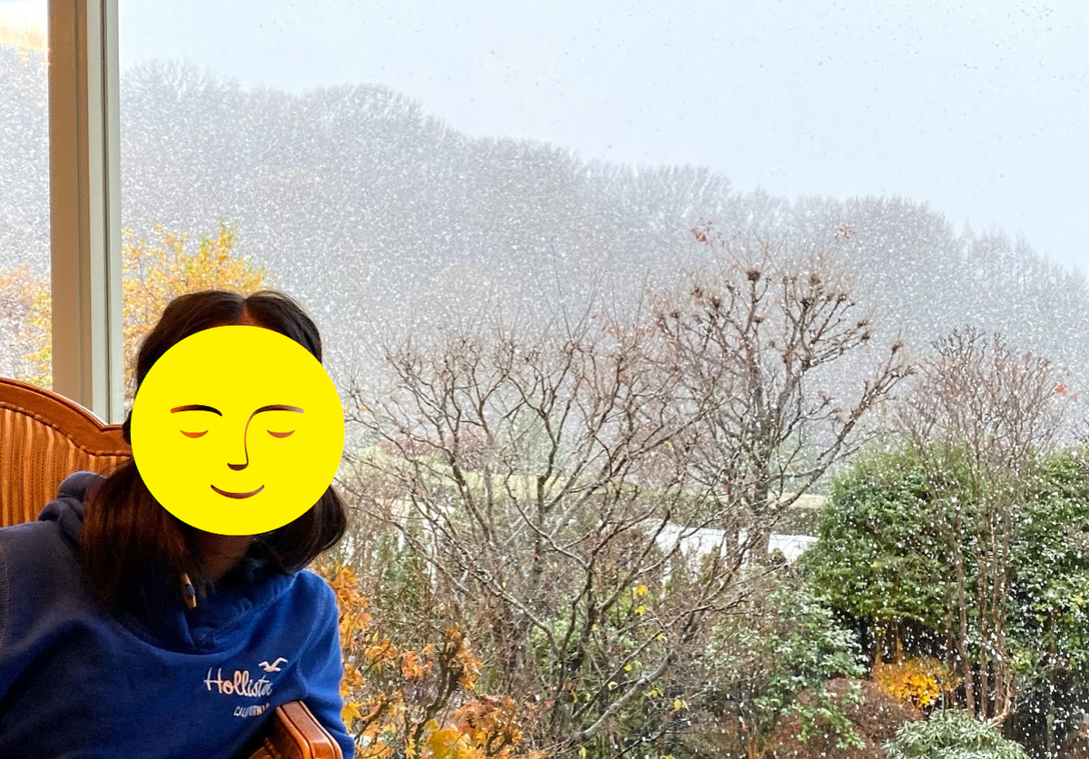 f:id:milegogo:20200413115116p:plain