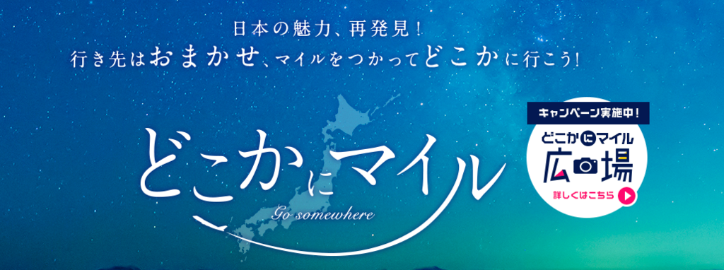 f:id:mileman:20190224135103p:plain f:id:mileman:20190224135103p:plain