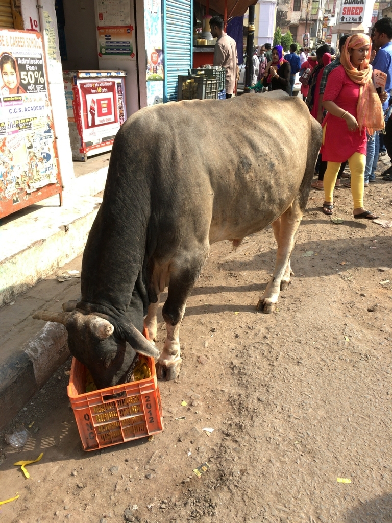 f:id:milemiler:20190124203127j:plain