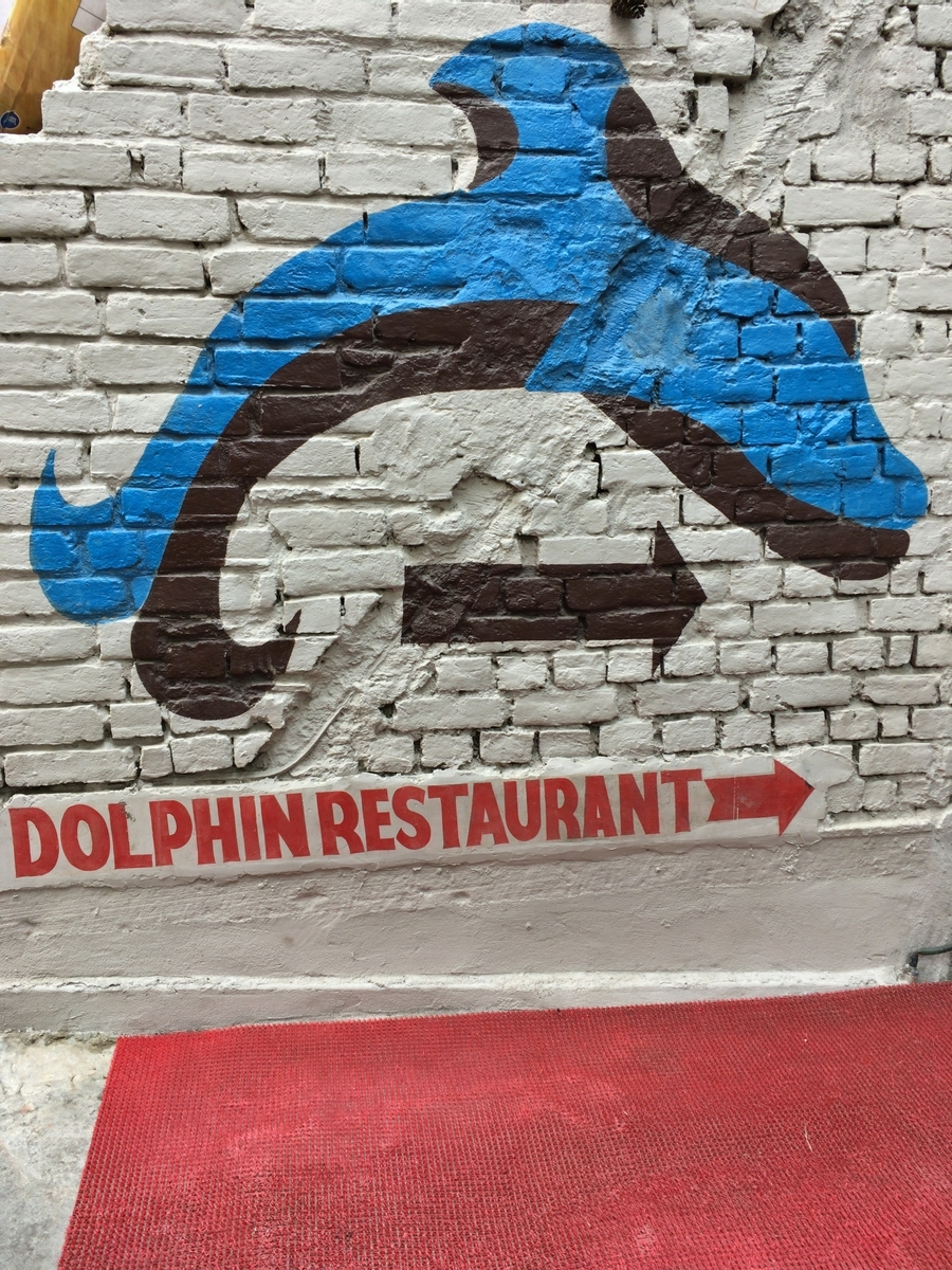 ベナレス　ドルフィン